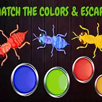 Ants Tap Tap Color Ants