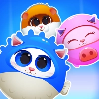 পছন্দের বিড়ালছানা একত্রিত করুন