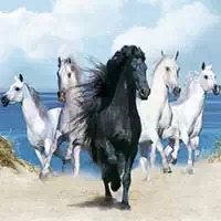 horses_puzzle Hry