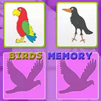 kids_memory_with_birds Oyunlar
