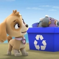 paw_patrol_beach_cleaning เกม