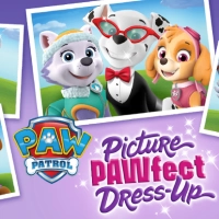 Paw Patrol: Picture Pawfect Dress-Up