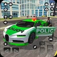 police_chase_real_cop_driver 계략