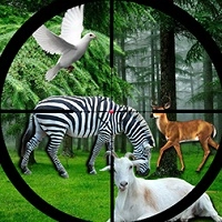 real_jungle_animals_hunting Igre