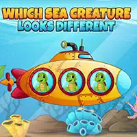 which_sea_creature_looks_different Lojëra