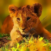 wild_baby_animals_jigsaw ゲーム