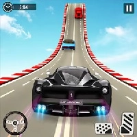 wild_race_master_3d permainan