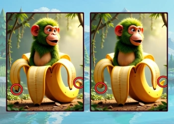 Breinrot - Een Verschil Uitdaging schermafbeelding van het spel