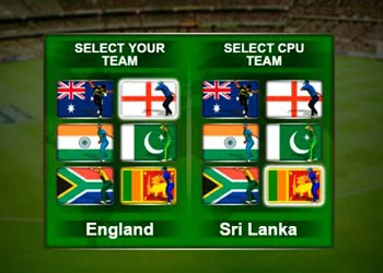 Крикет Fielder Challenge Game скріншот гри