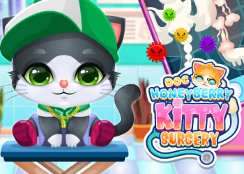 Doc Honeyberry Kitty Surgery game screenshot