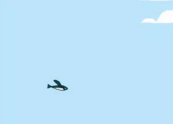 Pesce Volante Flappy screenshot del gioco